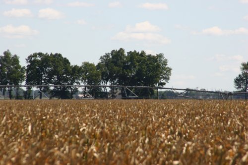 Tract 2 - Irrigation Equipment Auction - 21 Individual Irrigation Pivots