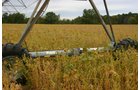 Tract 21 - Irrigation Equipment Auction - 21 Individual Irrigation Pivots