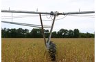 Tract 21 - Irrigation Equipment Auction - 21 Individual Irrigation Pivots