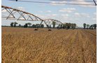 Tract 3 - Irrigation Equipment Auction - 21 Individual Irrigation Pivots