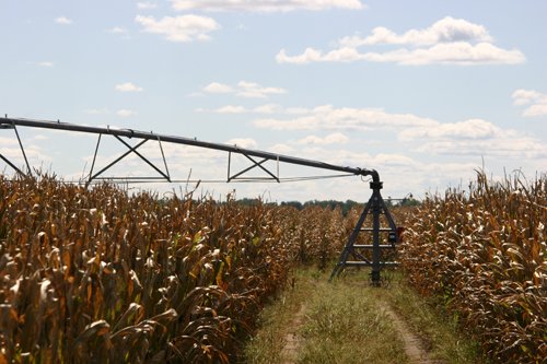 Tract 4 - Irrigation Equipment Auction - 21 Individual Irrigation Pivots