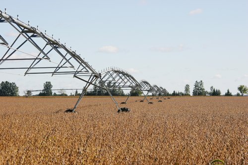Tract 6 - Irrigation Equipment Auction - 21 Individual Irrigation Pivots