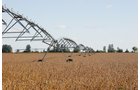 Tract 6 - Irrigation Equipment Auction - 21 Individual Irrigation Pivots