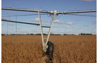 Tract 6 - Irrigation Equipment Auction - 21 Individual Irrigation Pivots