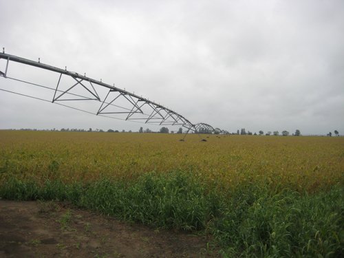 Tract 6 - Irrigation Equipment Auction - 21 Individual Irrigation Pivots