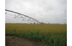 Tract 6 - Irrigation Equipment Auction - 21 Individual Irrigation Pivots