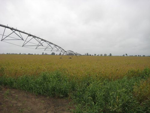 Tract 6 - Irrigation Equipment Auction - 21 Individual Irrigation Pivots