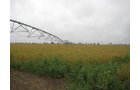 Tract 6 - Irrigation Equipment Auction - 21 Individual Irrigation Pivots