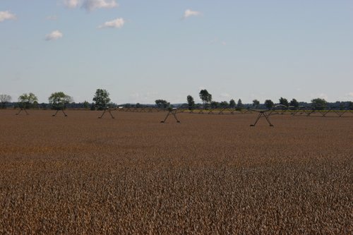 Tract 6 - Irrigation Equipment Auction - 21 Individual Irrigation Pivots