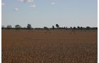 Tract 6 - Irrigation Equipment Auction - 21 Individual Irrigation Pivots