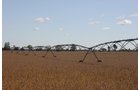 Tract 6 - Irrigation Equipment Auction - 21 Individual Irrigation Pivots