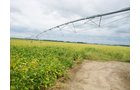 Tract 7 - Irrigation Equipment Auction - 21 Individual Irrigation Pivots