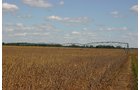 Tract 7 - Irrigation Equipment Auction - 21 Individual Irrigation Pivots