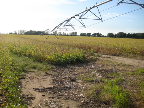 Tract 8 - Irrigation Equipment Auction - 21 Individual Irrigation Pivots