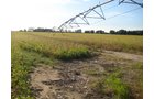 Tract 8 - Irrigation Equipment Auction - 21 Individual Irrigation Pivots