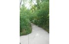 Property photo 14 - Lake James Area Real Estate Auction - 13 Lots - 3 Selling Absolute!