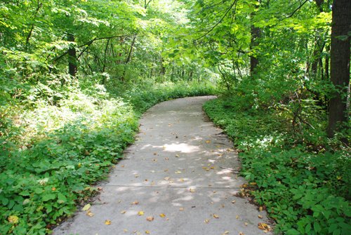 Property photo 8 - Lake James Area Real Estate Auction - 13 Lots - 3 Selling Absolute!