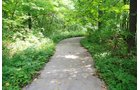 Property photo 8 - Lake James Area Real Estate Auction - 13 Lots - 3 Selling Absolute!