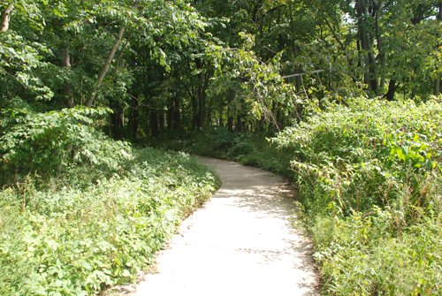 Property photo 9 - Lake James Area Real Estate Auction - 13 Lots - 3 Selling Absolute!