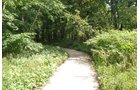Property photo 9 - Lake James Area Real Estate Auction - 13 Lots - 3 Selling Absolute!