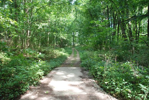 Property photo 21 - Lake James Area Real Estate Auction - 13 Lots - 3 Selling Absolute!