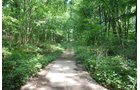 Property photo 21 - Lake James Area Real Estate Auction - 13 Lots - 3 Selling Absolute!