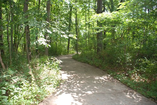 Property photo 20 - Lake James Area Real Estate Auction - 13 Lots - 3 Selling Absolute!