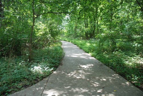 Property photo 25 - Lake James Area Real Estate Auction - 13 Lots - 3 Selling Absolute!