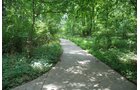 Property photo 25 - Lake James Area Real Estate Auction - 13 Lots - 3 Selling Absolute!