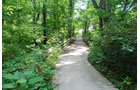 Property photo 17 - Lake James Area Real Estate Auction - 13 Lots - 3 Selling Absolute!