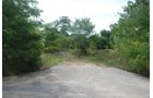 Property photo 2 - Lake James Area Real Estate Auction - 13 Lots - 3 Selling Absolute!