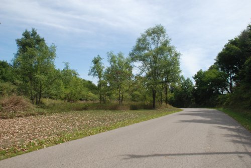 Property photo 10 - Lake James Area Real Estate Auction - 13 Lots - 3 Selling Absolute!