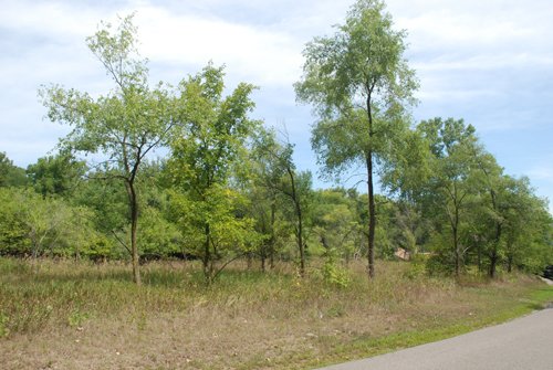 Property photo 27 - Lake James Area Real Estate Auction - 13 Lots - 3 Selling Absolute!