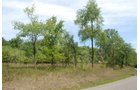 Property photo 27 - Lake James Area Real Estate Auction - 13 Lots - 3 Selling Absolute!