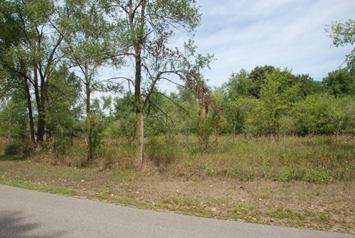 Property photo 15 - Lake James Area Real Estate Auction - 13 Lots - 3 Selling Absolute!