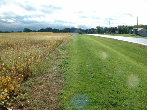 Prime road frontage along Trammel Rd. - 74 Acres Offered in 2 Tracts with Potential Commercial and Residential Development
