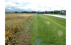 Prime road frontage along Trammel Rd. - 74 Acres Offered in 2 Tracts with Potential Commercial and Residential Development