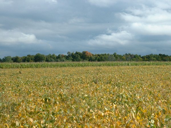 74 Acres Offered in 2 Tracts with Potential Commercial and Residential Development