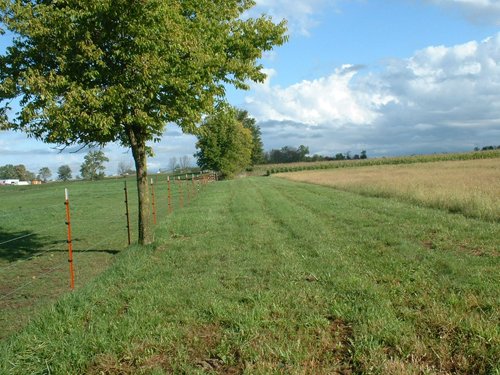 Looking north along west property line. - 74 Acres Offered in 2 Tracts with Potential Commercial and Residential Development