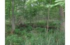 Property photo 10 - 223+/- Acres Offered in 8 Tracts - Tillable Farmland, Hunting and/or Future Building Sites