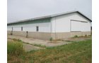 Property photo 11 - 223+/- Acres Offered in 8 Tracts - Tillable Farmland, Hunting and/or Future Building Sites