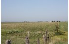 Property photo 41 - Land Auction - 480 Acres in 10 Tracts, Native Grassland, Tillable Cropland