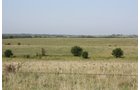 Property photo 10 - Land Auction - 480 Acres in 10 Tracts, Native Grassland, Tillable Cropland