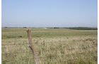 Property photo 50 - Land Auction - 480 Acres in 10 Tracts, Native Grassland, Tillable Cropland