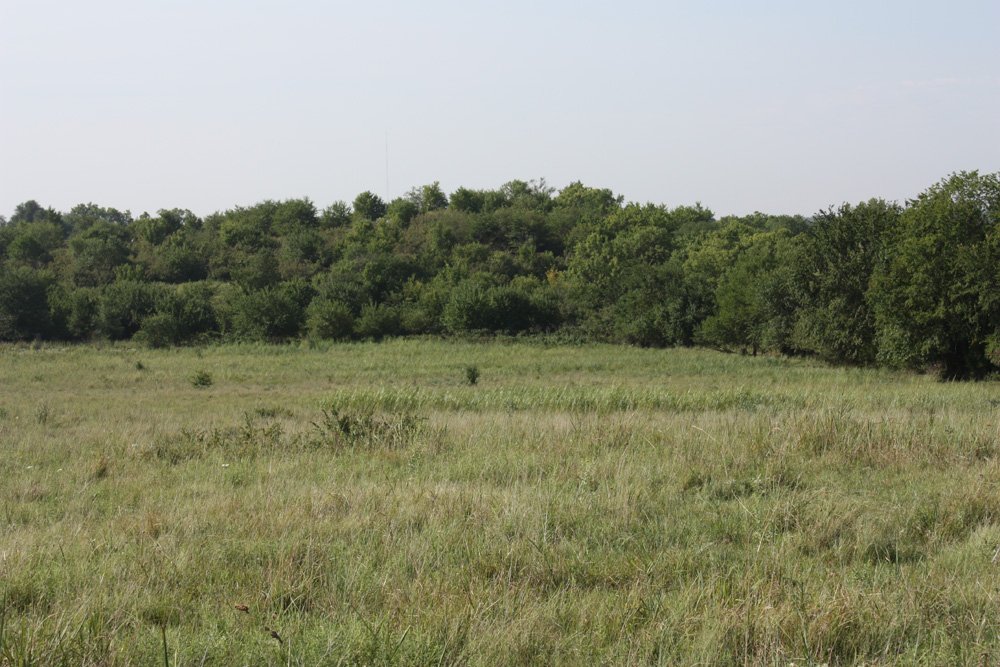 Property photo 62 - Land Auction - 480 Acres in 10 Tracts, Native Grassland, Tillable Cropland