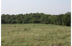 Property photo 62 - Land Auction - 480 Acres in 10 Tracts, Native Grassland, Tillable Cropland