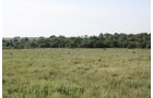 Property photo 35 - Land Auction - 480 Acres in 10 Tracts, Native Grassland, Tillable Cropland