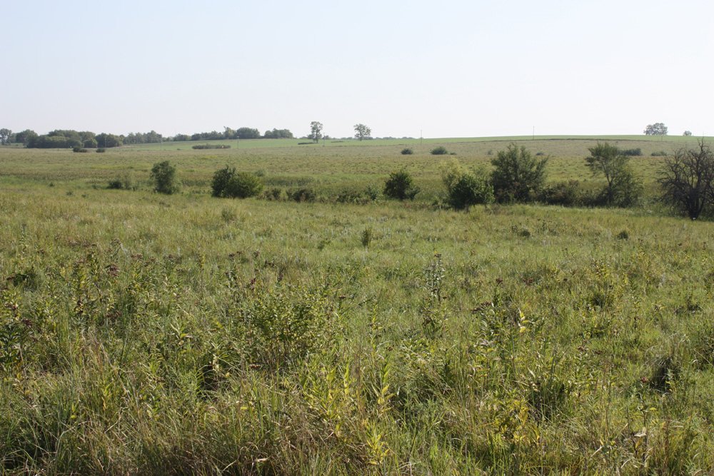 Property photo 31 - Land Auction - 480 Acres in 10 Tracts, Native Grassland, Tillable Cropland