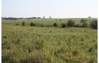 Property photo 31 - Land Auction - 480 Acres in 10 Tracts, Native Grassland, Tillable Cropland