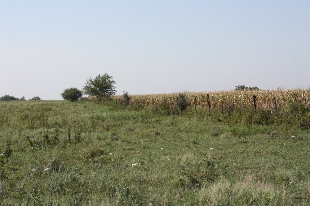 Property photo 71 - Land Auction - 480 Acres in 10 Tracts, Native Grassland, Tillable Cropland